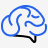 brain