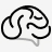 brain