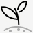 seeding