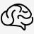 brain